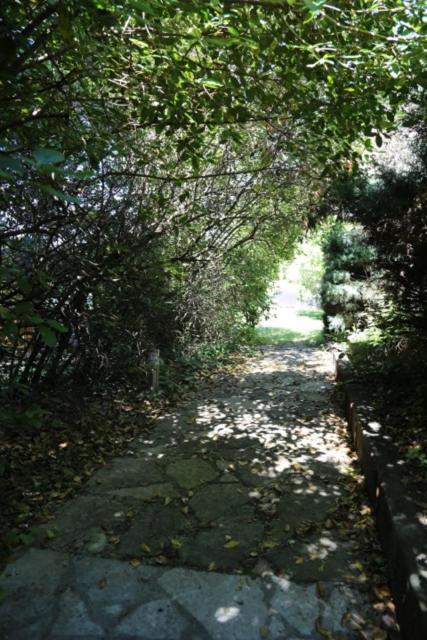 Aigremont A L'Oree Des Cevennes المظهر الخارجي الصورة